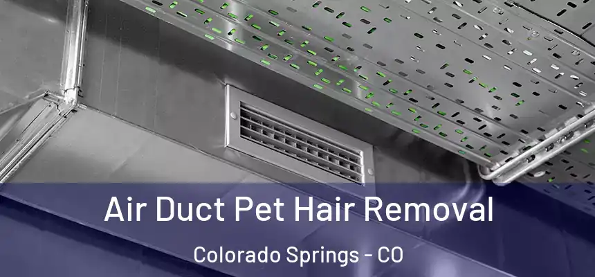 Air Duct Pet Hair Removal Colorado Springs - CO
