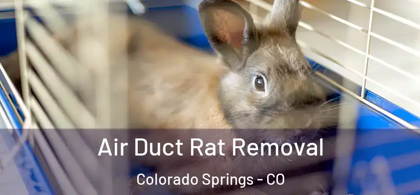  Air Duct Rat Removal Colorado Springs - CO