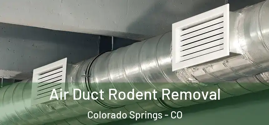  Air Duct Rodent Removal Colorado Springs - CO