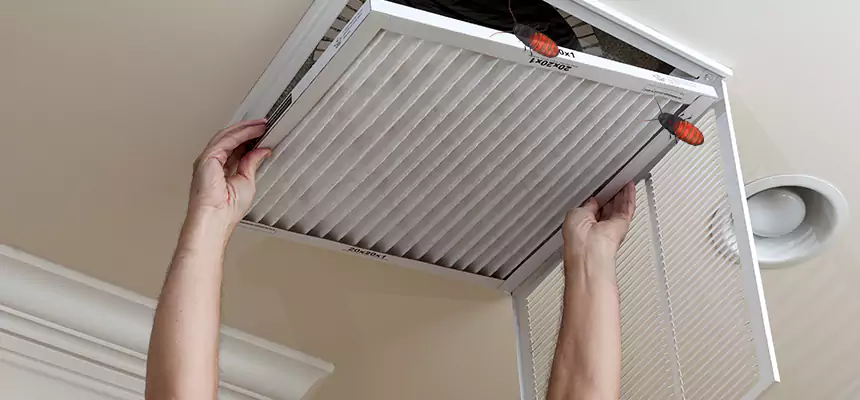 Preventive Cockroach-Proofing for Ducts in Colorado Springs