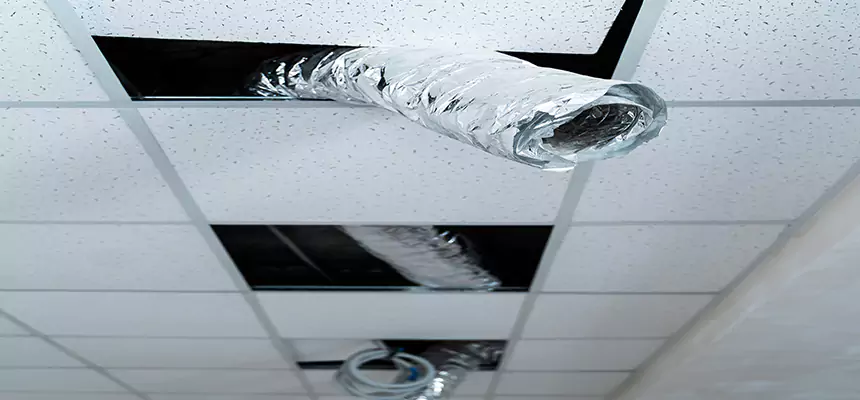 Affordable HVAC Sanitizing After Pest Removal in Colorado Springs