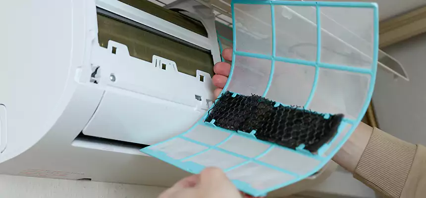 Gentle Ductwork Odor-Control Pet Dander Duct Cleaning in Colorado Springs, CO