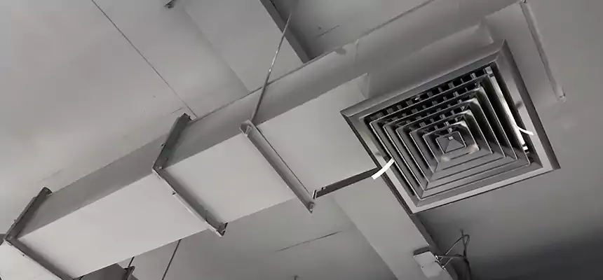 Our Rodent Droppings In Vents Services in Colorado Springs, CO