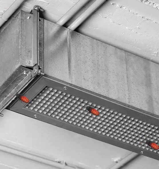 About Air Duct Cockroach Removal in Colorado Springs, CO
