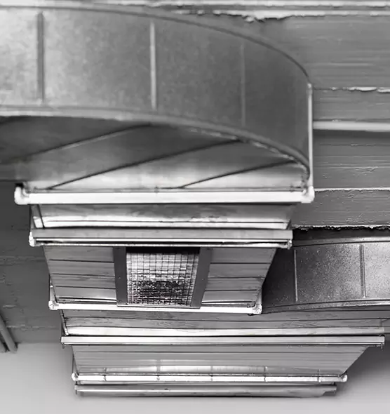 Professional Air Duct Pet Hair Removal in Colorado Springs, CO