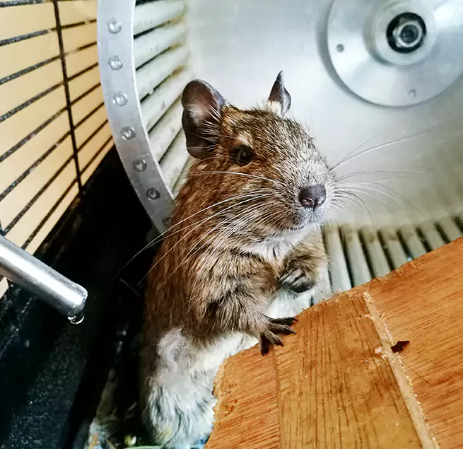 Why Homeowners & Businesses Trust Us Colorado Springs, CO?