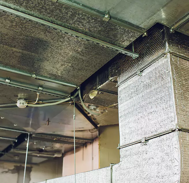 Why Homeowners & Businesses Trust Us in Colorado Springs, CO?